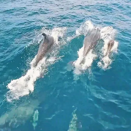 ヴィラ Maldives By Algarve Vacation *